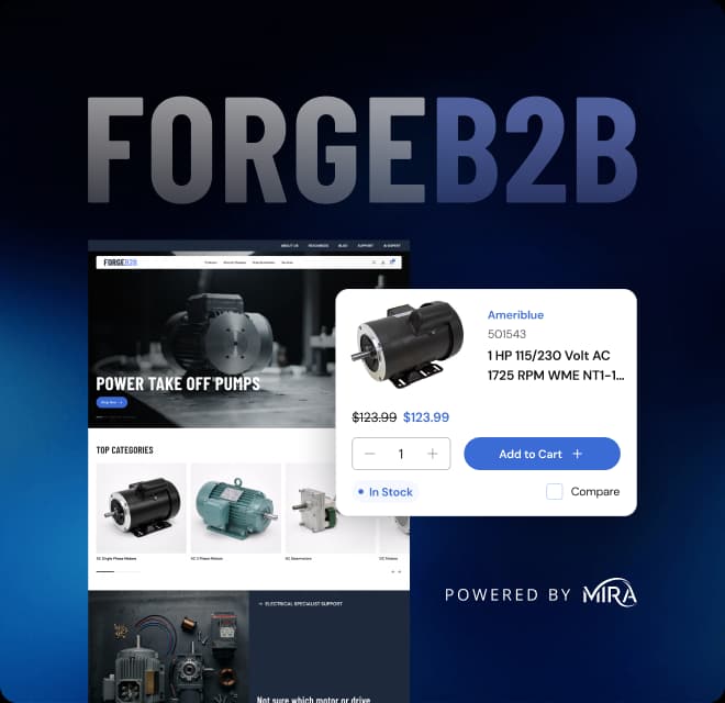 ForgeB2B Website Accelerator.webp